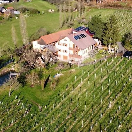 Weingut Schoberhof Bad Gleichenberg