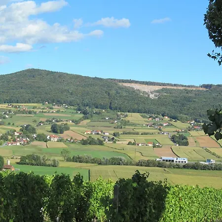 Apartment Weingut Schoberhof Bad Gleichenberg