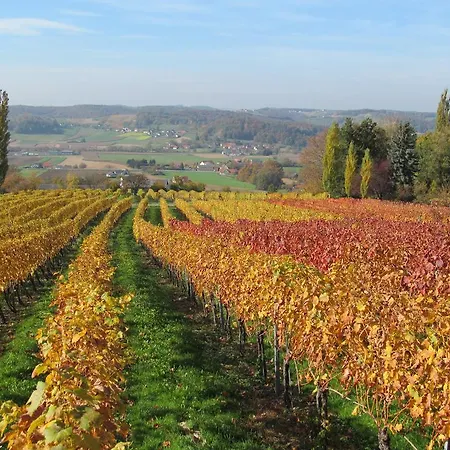 Apartman Weingut Schoberhof Bad Gleichenberg