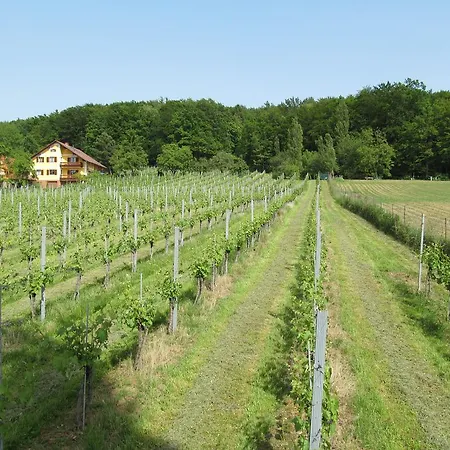 Apartman Weingut Schoberhof Bad Gleichenberg