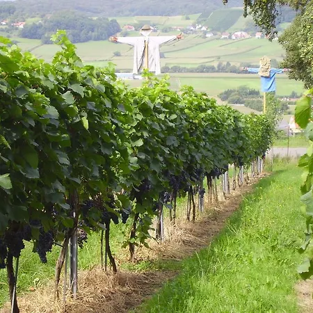 Apartman Weingut Schoberhof