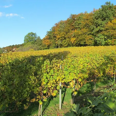 Weingut Schoberhof * Bad Gleichenberg
