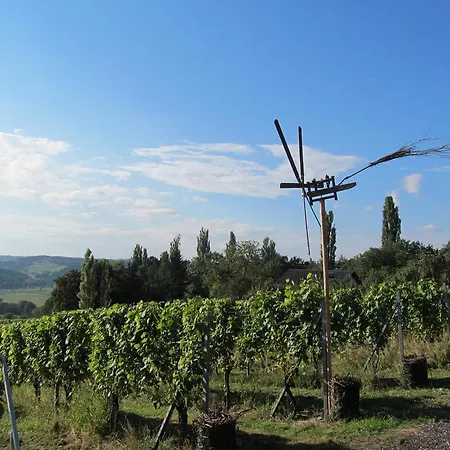 Weingut Schoberhof Apartment