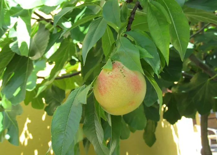 Weingut Schoberhof شقة باد غليشنبرج