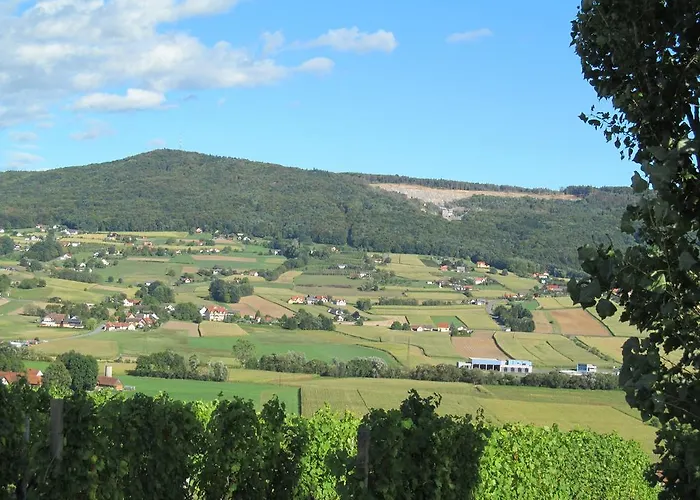 شقة Weingut Schoberhof باد غليشنبرج