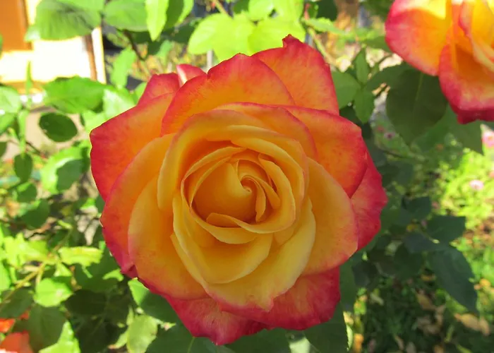 شقة Weingut Schoberhof باد غليشنبرج